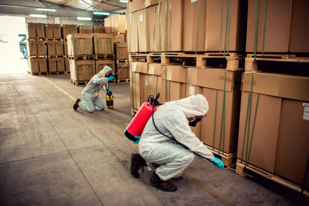 Professional Pest Control in Horse Cave, KY