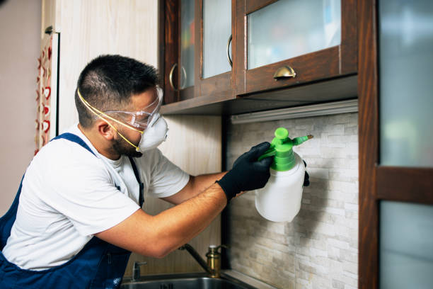 Best Pest Control for Homes  in Horse Cave, KY