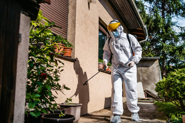 Best Wasp Removal Services  in Horse Cave, KY