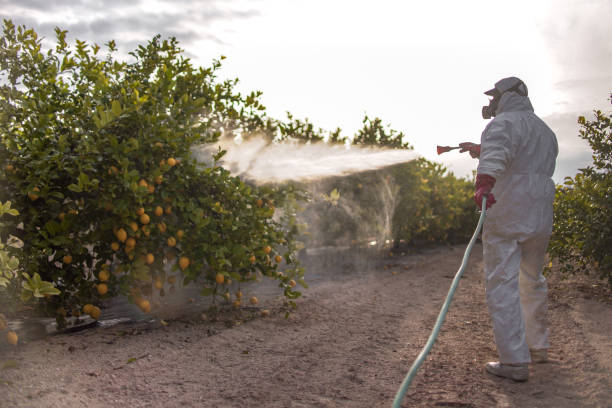 Best Pest Control for Restaurants  in Horse Cave, KY