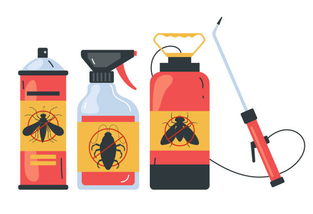Best Termite Control Services  in Horse Cave, KY
